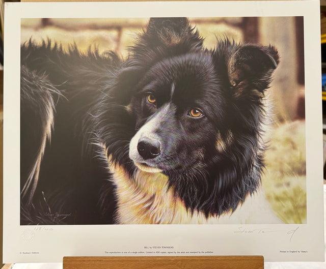 bill print only by artist steven townsend