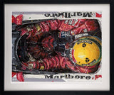 Birds Eye Senna - Ayrton Senna