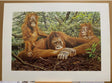 but this is our home print by artist alan hunt