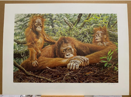 but this is our home print by artist alan hunt