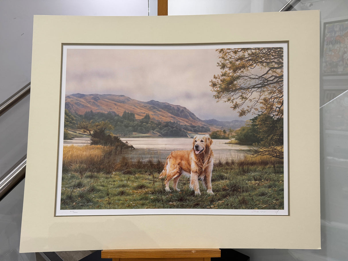 casper mounted print by artist steven townsend