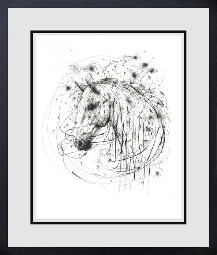 cosmos framed print by artist scott tetlow