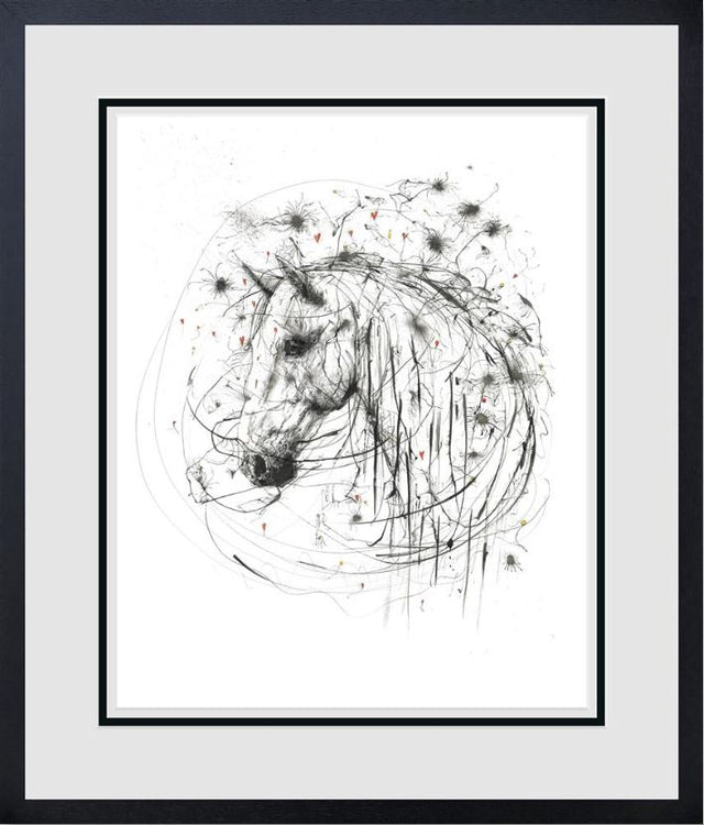 cosmos framed print by artist scott tetlow
