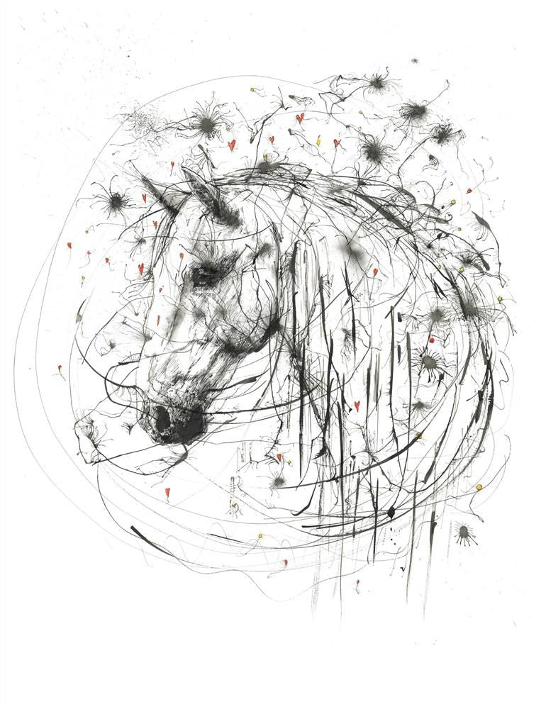 cosmos mounted print by artist scott tetlow