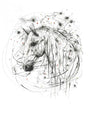 cosmos mounted print by artist scott tetlow