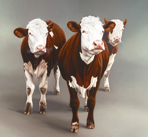 Cow Girls