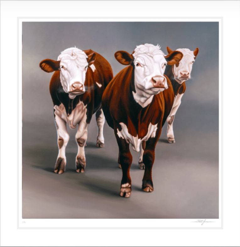 Cow Girls