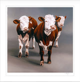Cow Girls