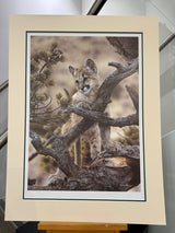 curiosity artist proof mounted print by artist steven townsend