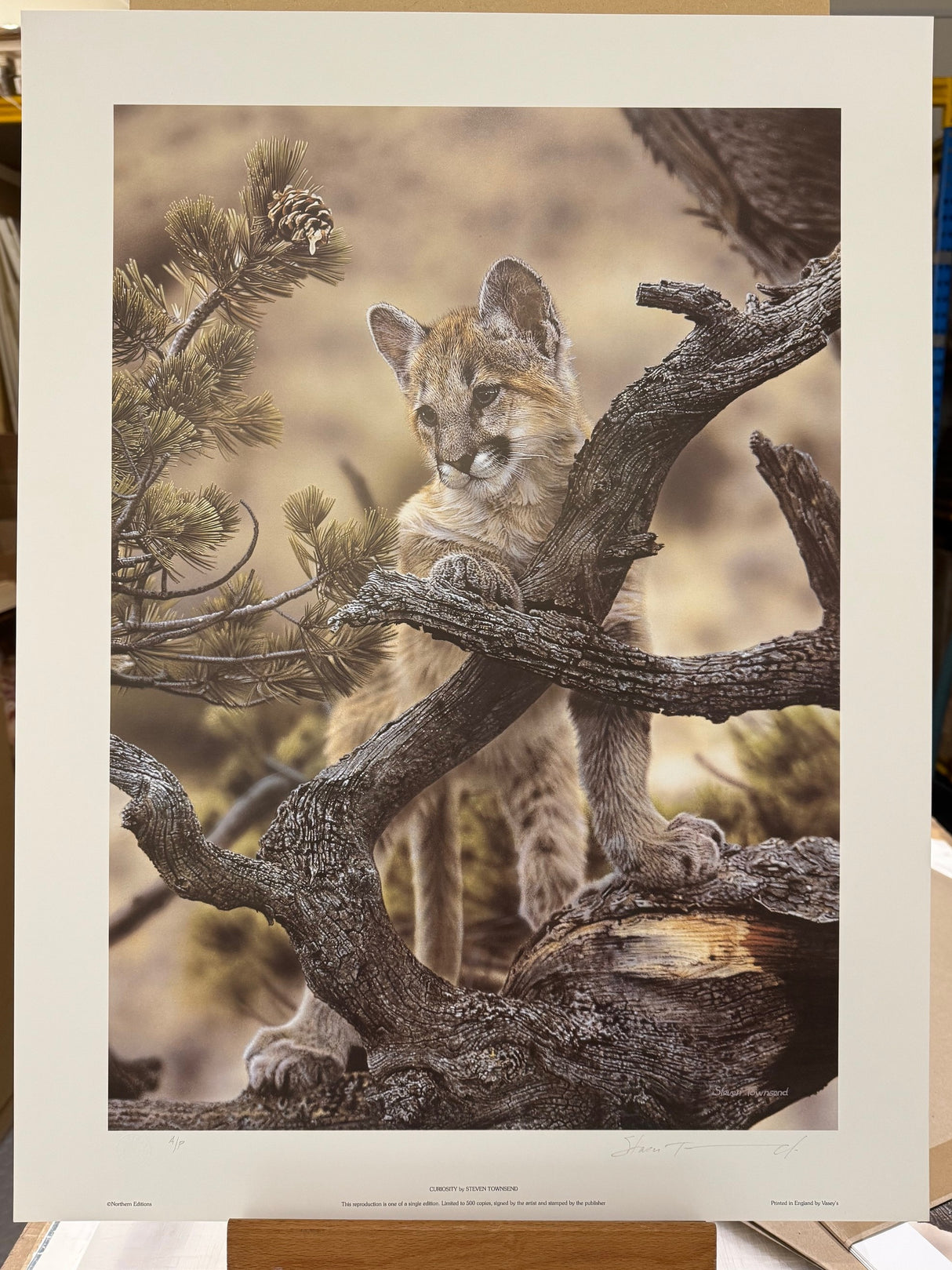 curiosity artist proof print by artist steven townsend