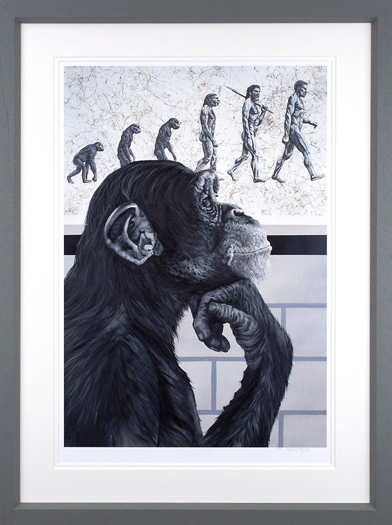 Devolution Of Evolution
