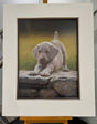 early morning exercise mounted print by artist john silver