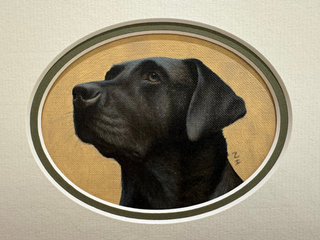 head study original of black labrador looking to the left mounted by artist nigel hemming