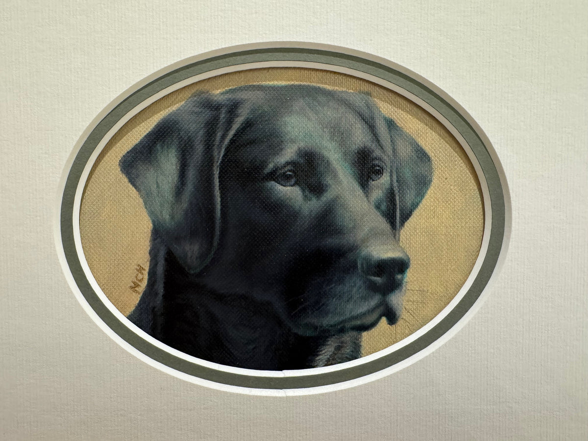 Black Lab Risers Early Risers with Original Head Study (Labrador Looking Right ...