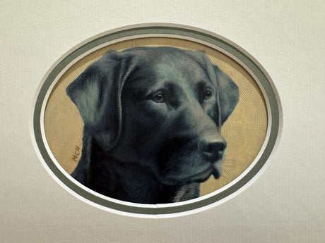 head study of black labrador looking to the right mounted by artist nigel hemming