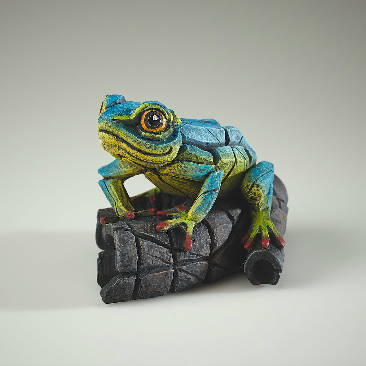 African Tree Frog Blue Yellow