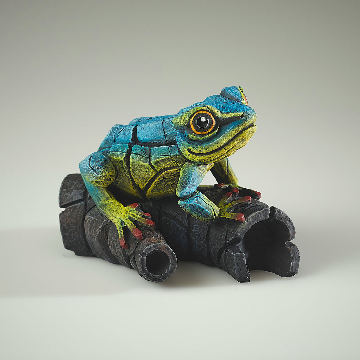 African Tree Frog Blue Yellow