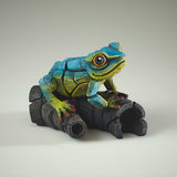 African Tree Frog Blue Yellow