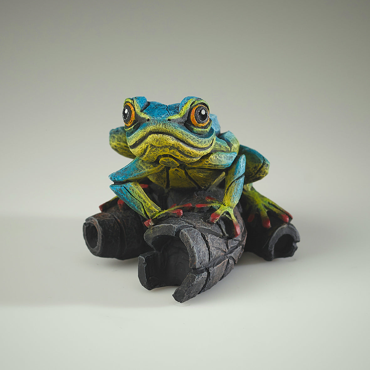 African Tree Frog Blue Yellow
