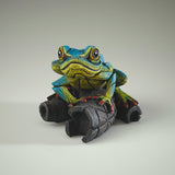 African Tree Frog Blue Yellow