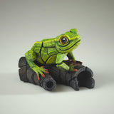 African Tree Frog Green