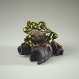 African Tree Frog Yellow Spot