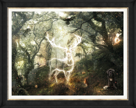 expecto patronum hand embellished canvas deluxe framed print by artist mark davies