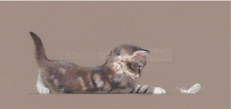 feather mounted print by artist nicky litchfield
