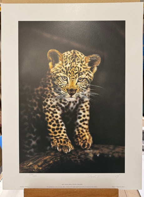 first adventure print by artist steven townsend
