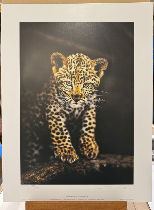 first adventure print by artist steven townsend