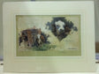fred after his shampoo mounted print by artist david shepherd