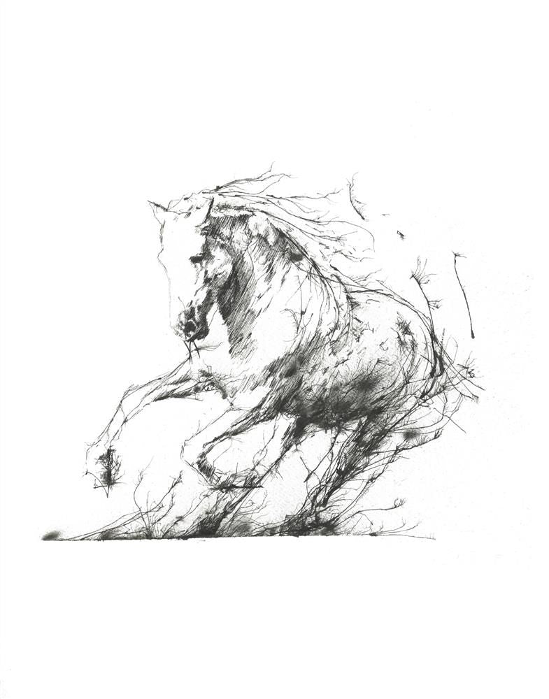 freedom mounted ptint by artist scott tetlow
