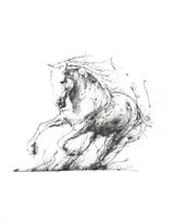 freedom mounted ptint by artist scott tetlow