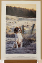 frosty morn print by artist steven townsend