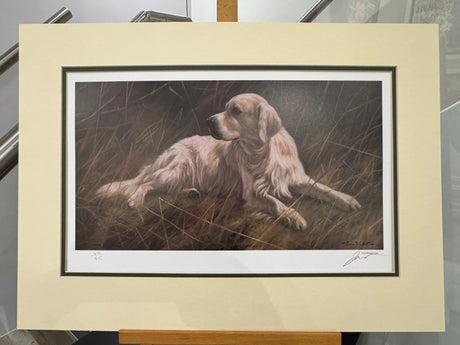 golden retriever mounted print by artist john trickett