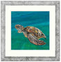 gone with the tide framed print by artist sarah jackson