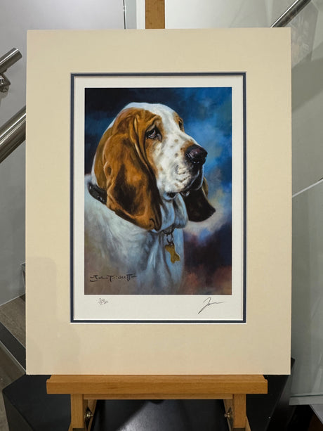 hang dog bassett hound mounted print by artist john trickett