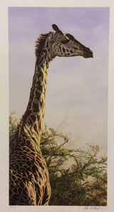 high and mighty print by artist alan hunt