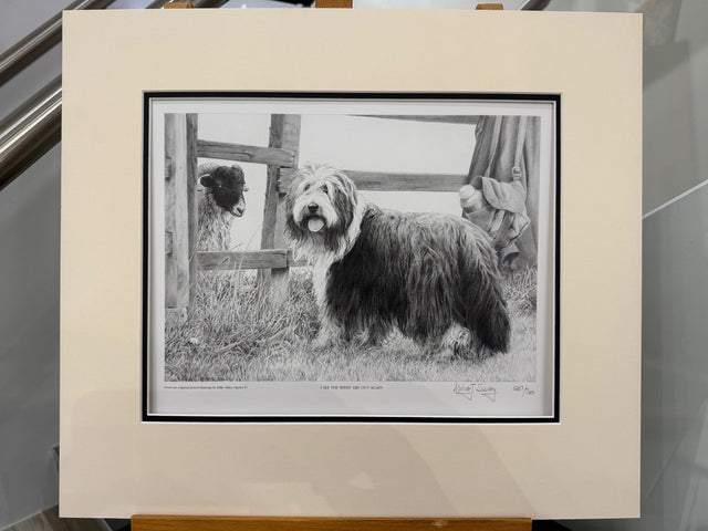 i see the sheep are out again mounted print by artist mike sibley