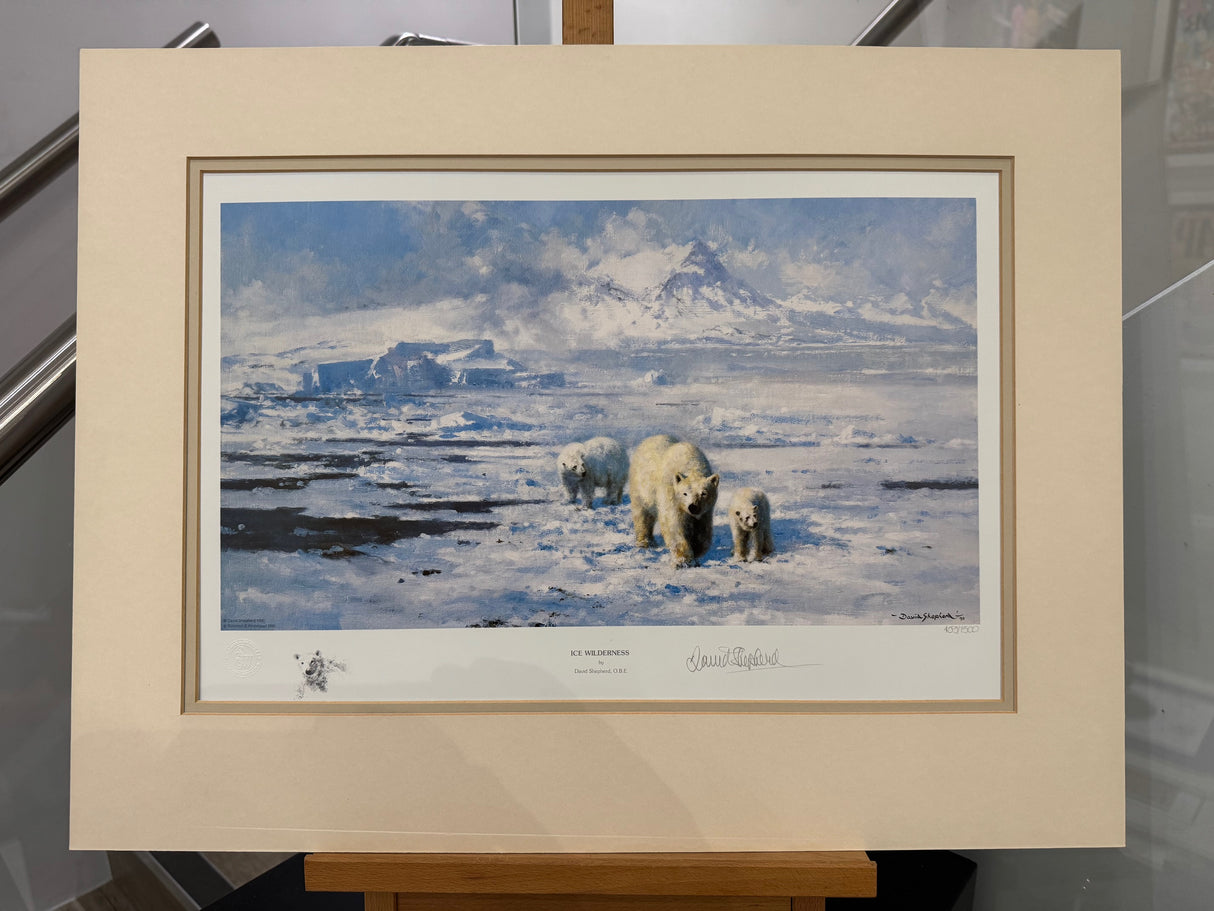ice wilderness munted print by artist david shepherd