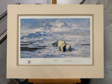 ice wilderness munted print by artist david shepherd