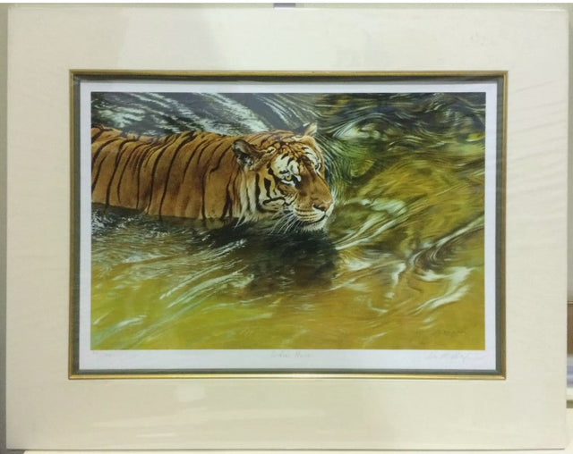 indian prince mounted print by artist alan hunt