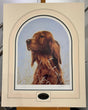 irish setter mounted print by artist john silver