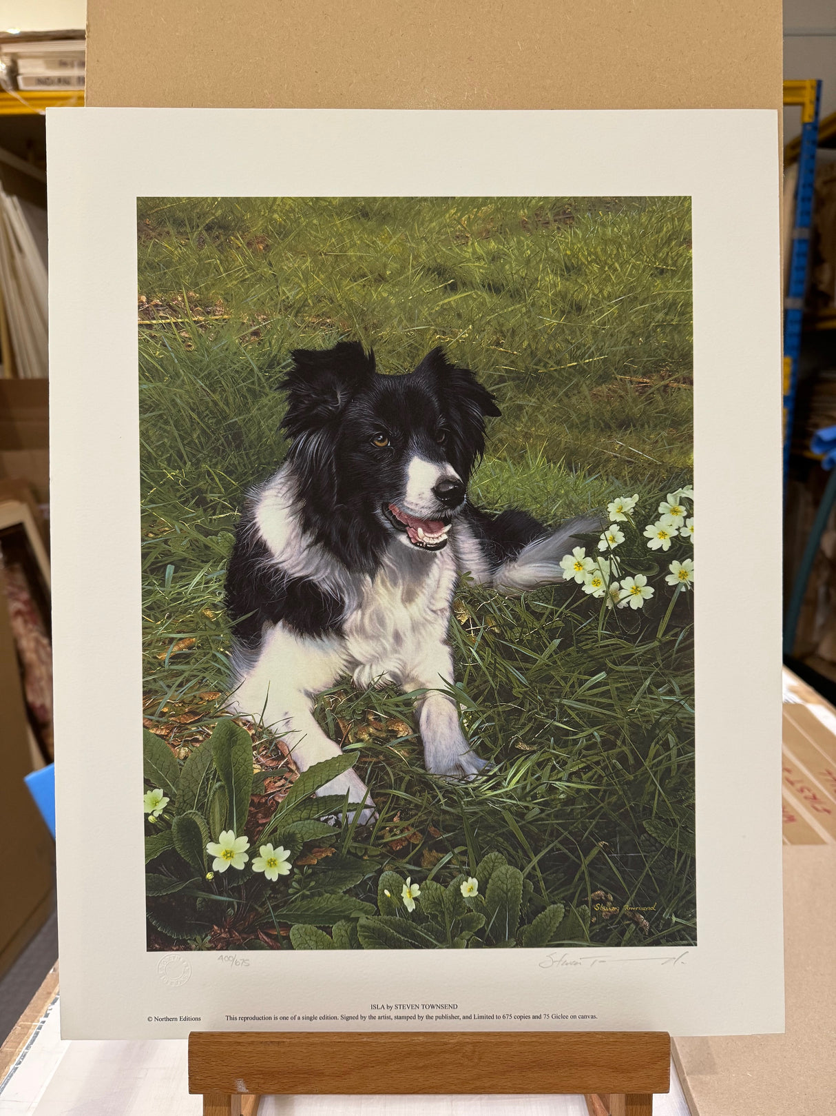 isla print by artist steven townsend