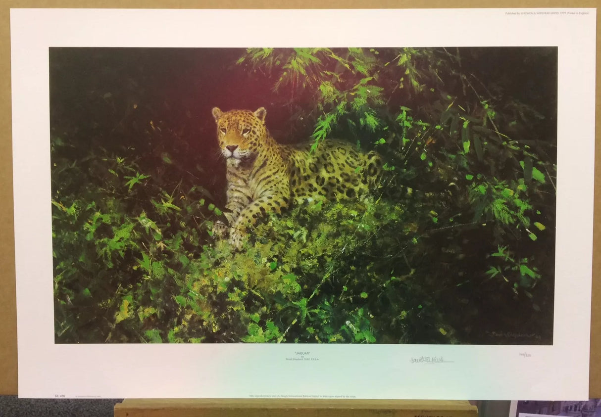 jaguar april 1999 print by artist david shepherd