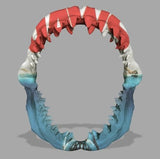 Jaws (Large)