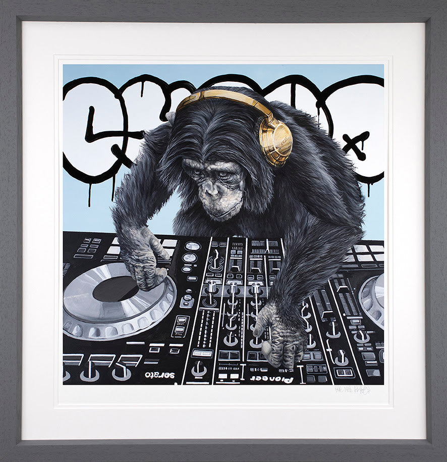 Jungle Nights And Swinging Beats