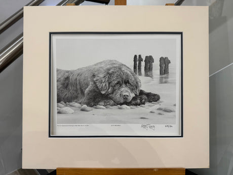 just dreaming mounted print by artist mike sibley