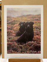 kate and dexter print by artist steven townsend