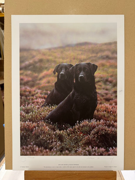 kate and dexter print by artist steven townsend